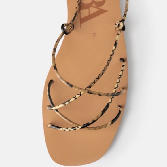 Zara Snake Low Heeled Animal Print Slide Sandals - Picture 3 of 5